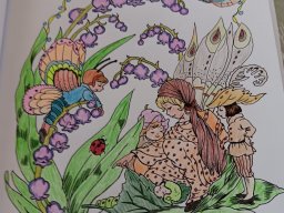 whatsapp bild 2024-03-01 um 11.46.22_86198d07